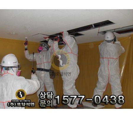 서울 중대부속초교 공사